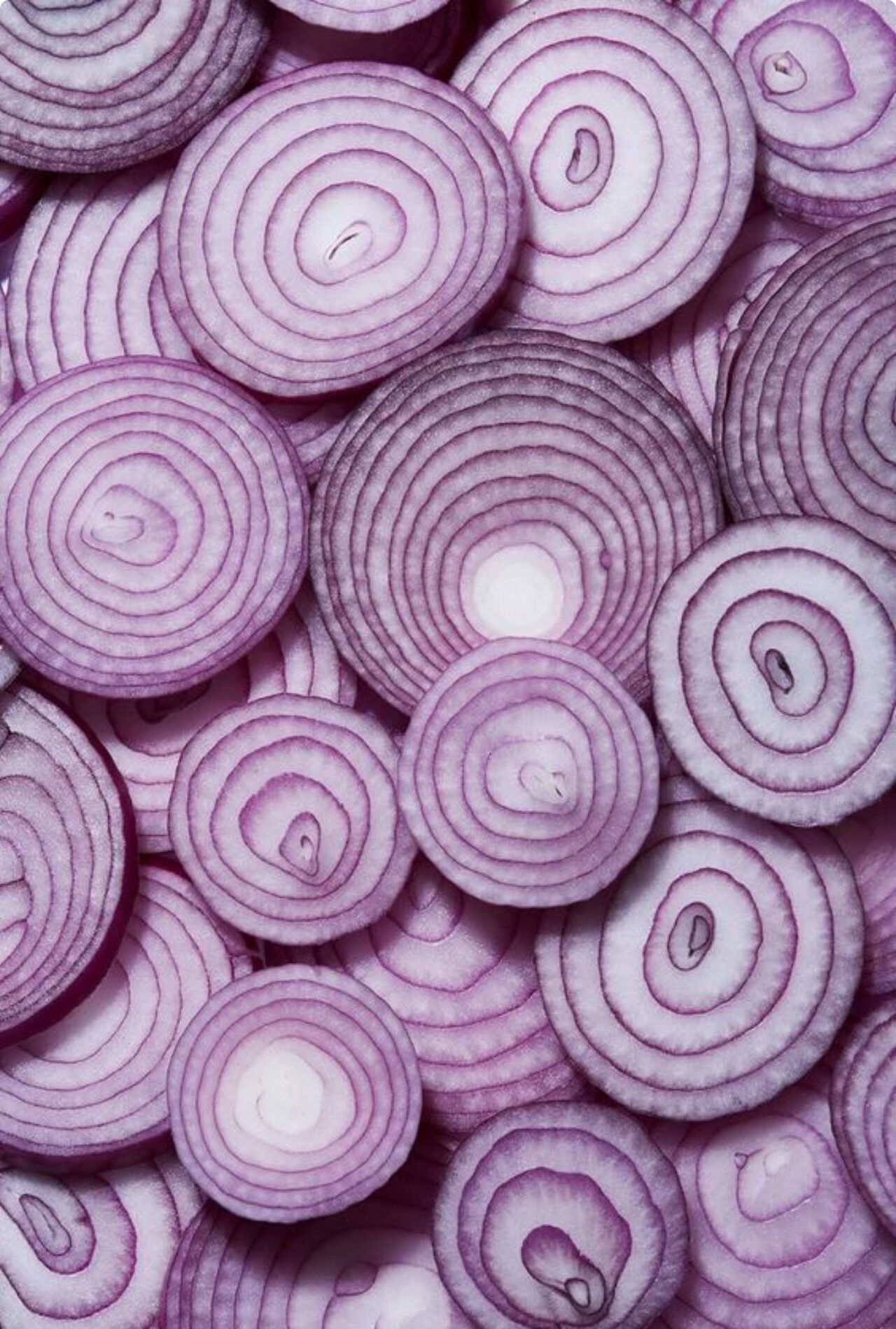 SERVICES: Évènements divers