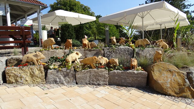 Wilde Wochen 2020 Teilnehmer