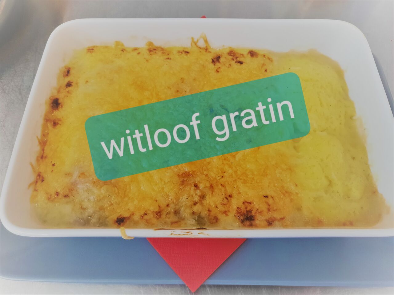 Witloof Gratin