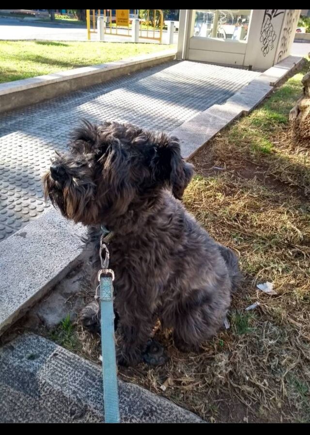 La chica Bella Tilly ❤️