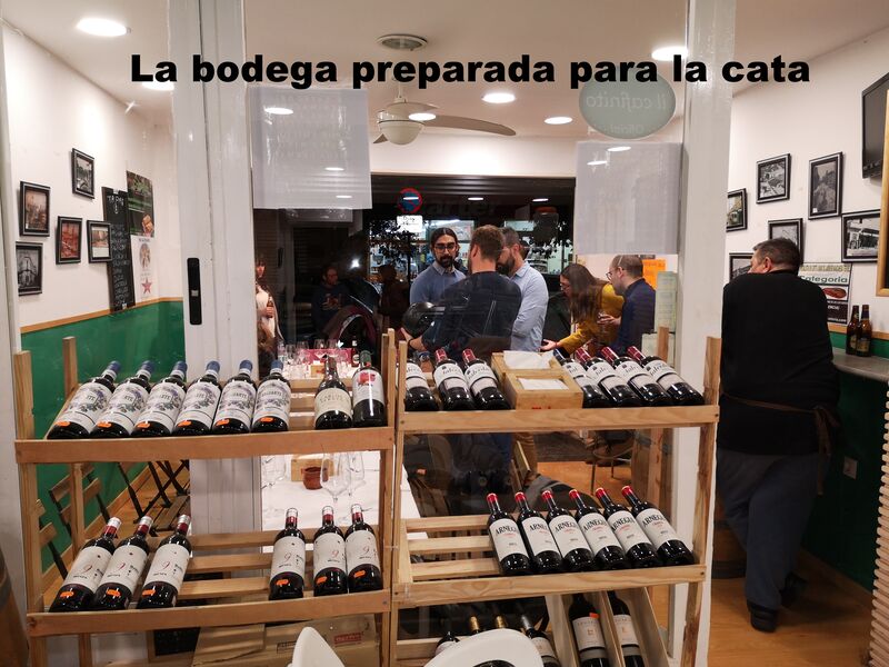 Cata vinos