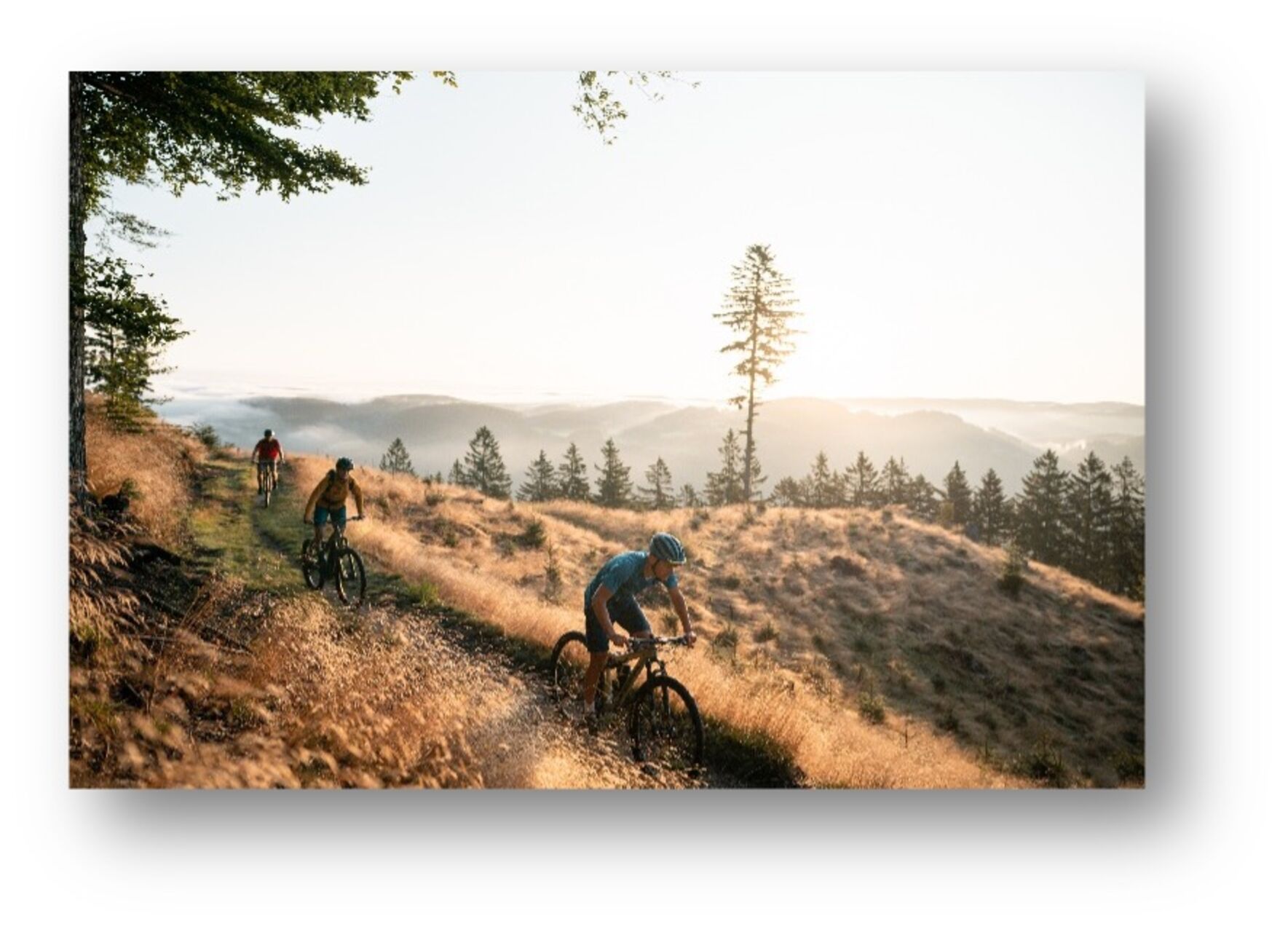 Radl´n im Mühlviertel – Tour de Alm