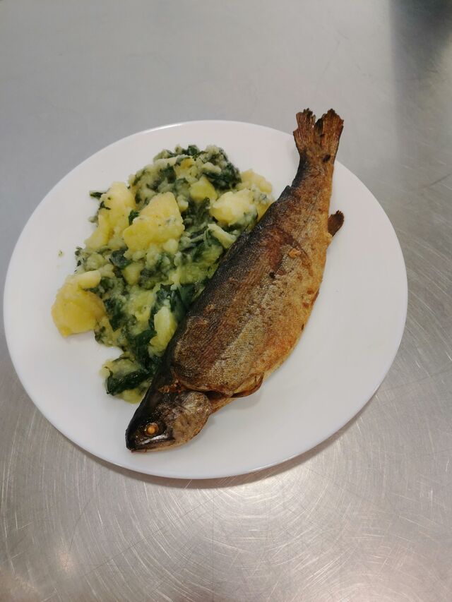 Pržena pastrva, krumpir s blitvom