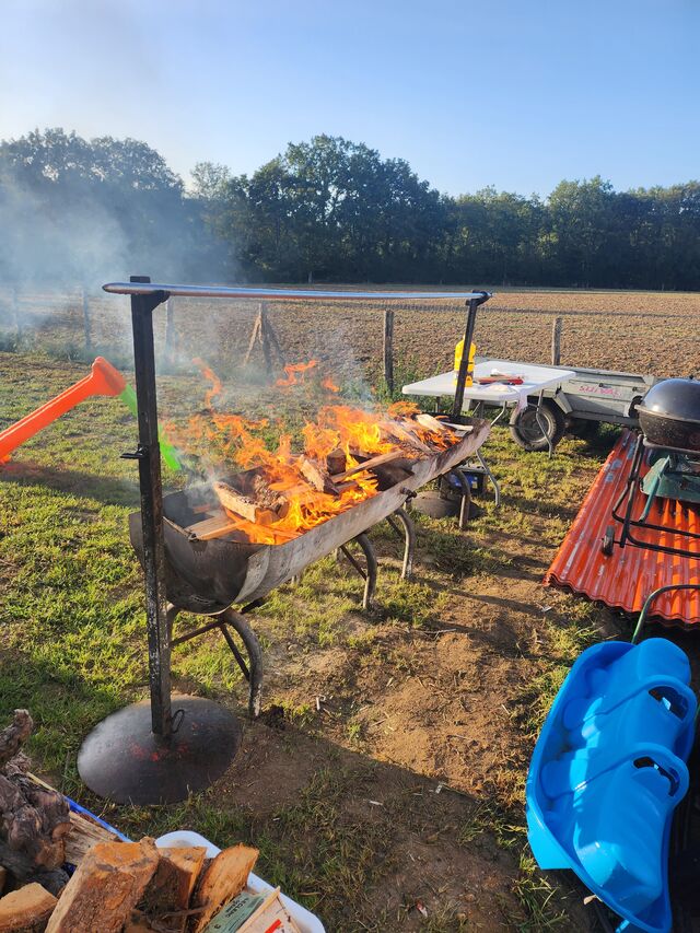 préparation feu de bois