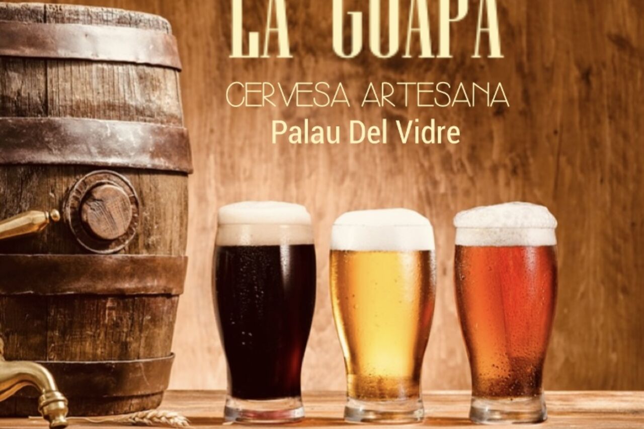 COUPE DU MONDE RUGBY