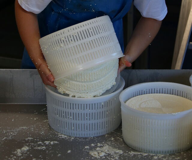 Retournement des fromages à la main