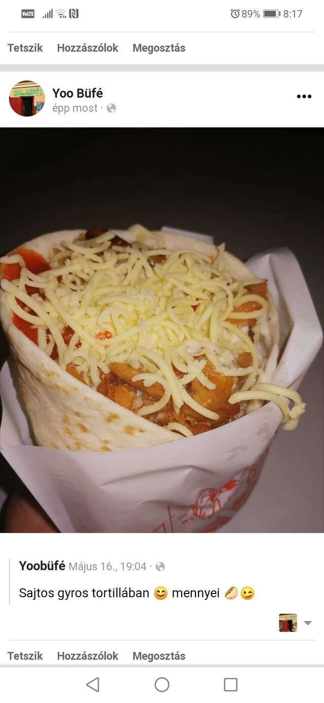 Gyros tortillában sajtos 1690ft