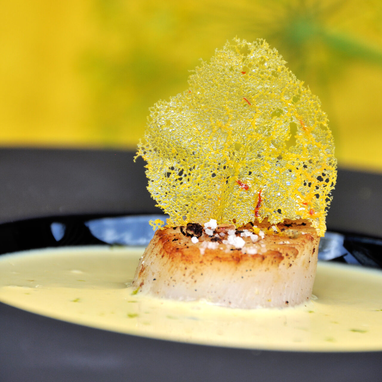 Une cuisson en quelques secondes, bien assaisonnée, accompagnée d'une sauce acidulée, couronnée d'une tuile safranée, what else?