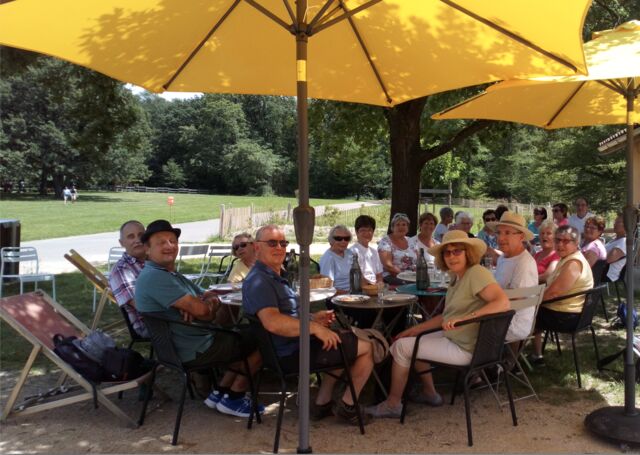 Pour un peu de fraicheur, notre chêne sera vous l'apporter