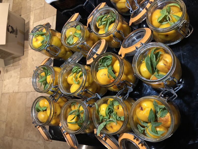 Confection de nos péchés à la verveine en bocaux