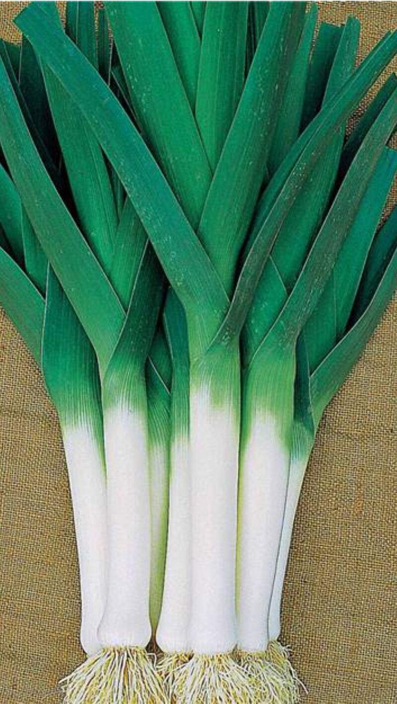 Poireaux - 2,14€/kg