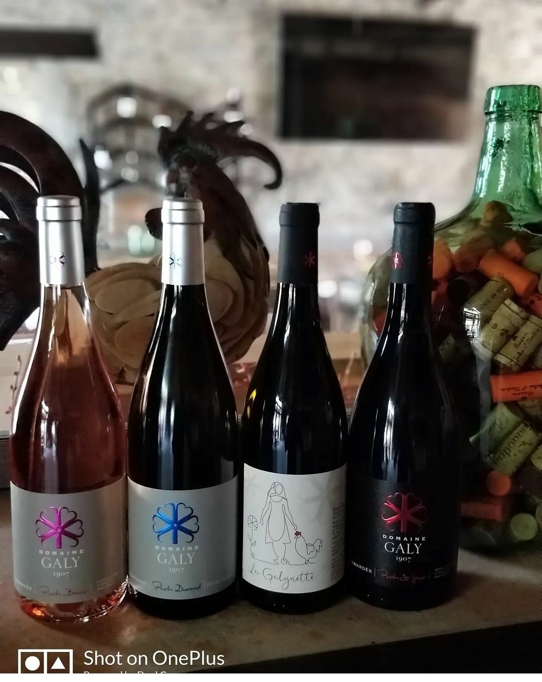 Domaine Galy, Cabardès