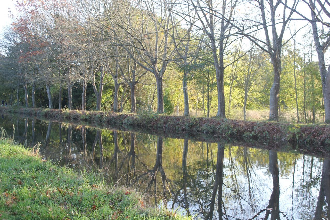 proximité de notre chambre d'hôte