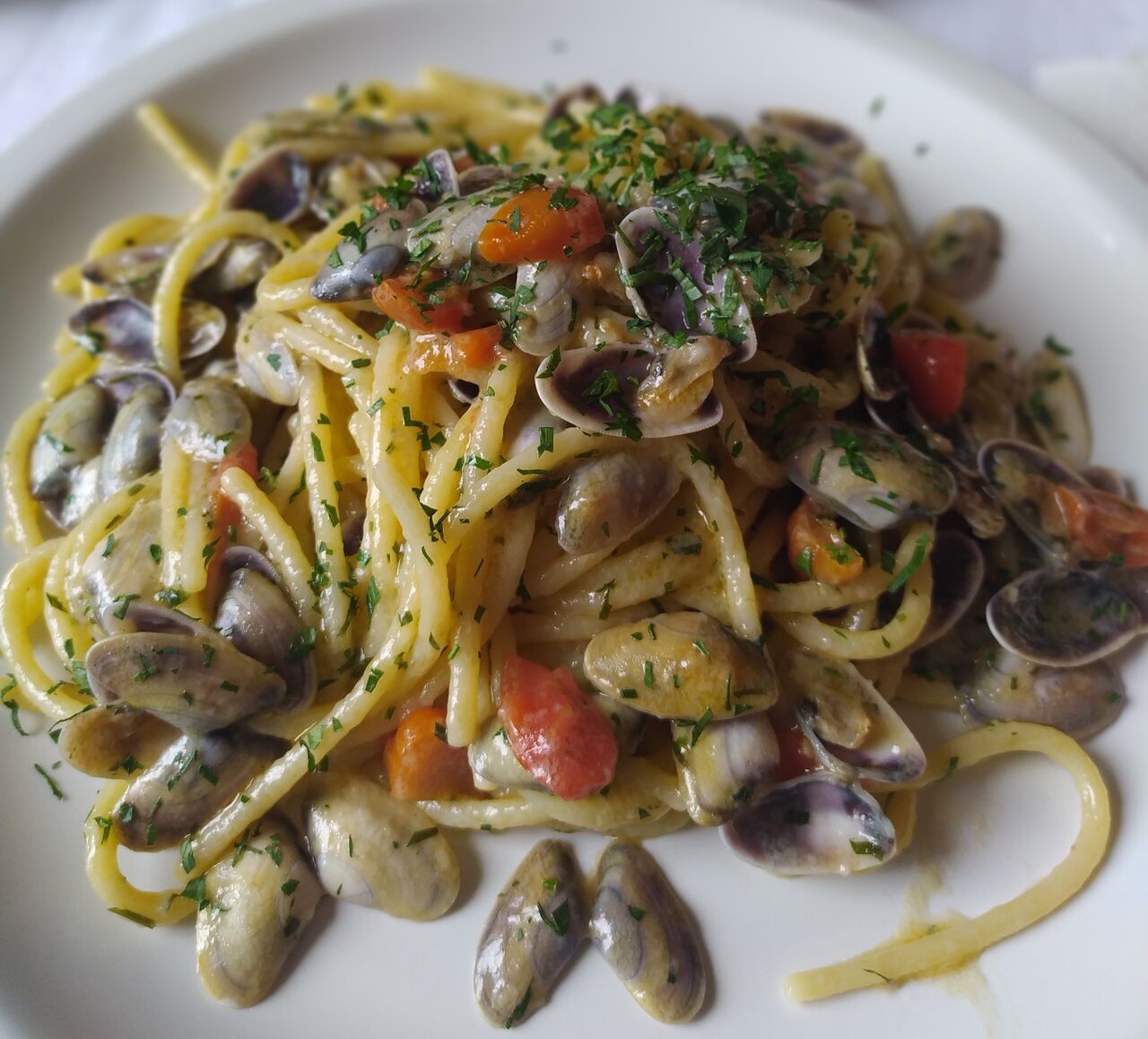 Spaghettone Benedetto Cavalieri con Telline