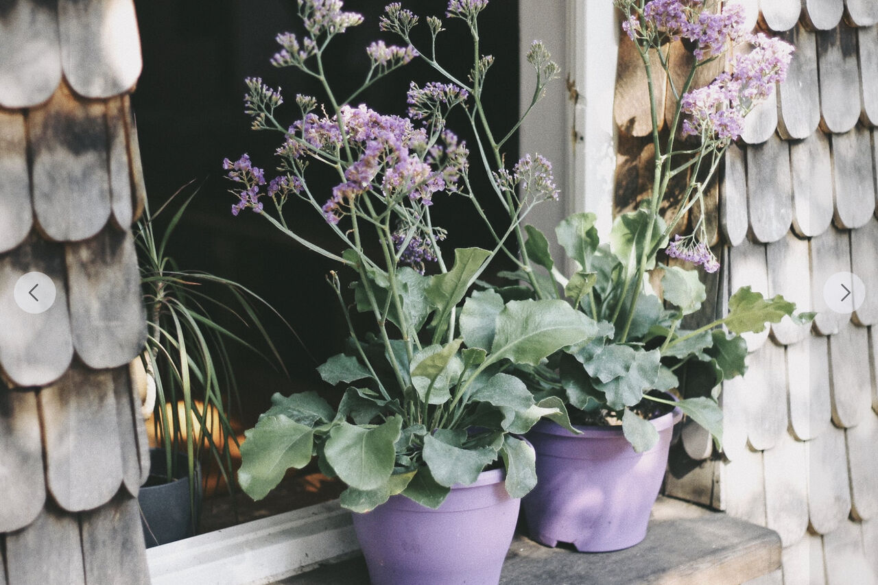 Unser Event ist Ihre Feier