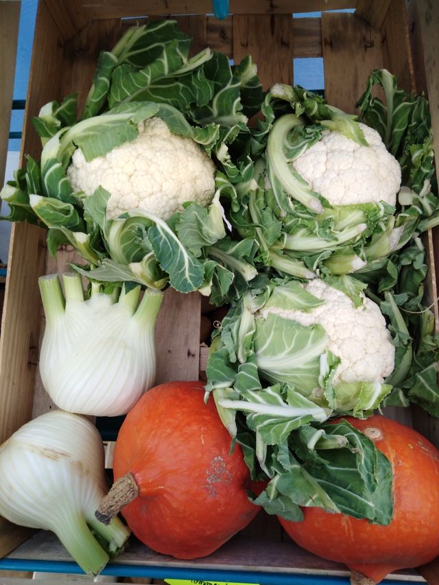 Légumes de saison de producteur locaux