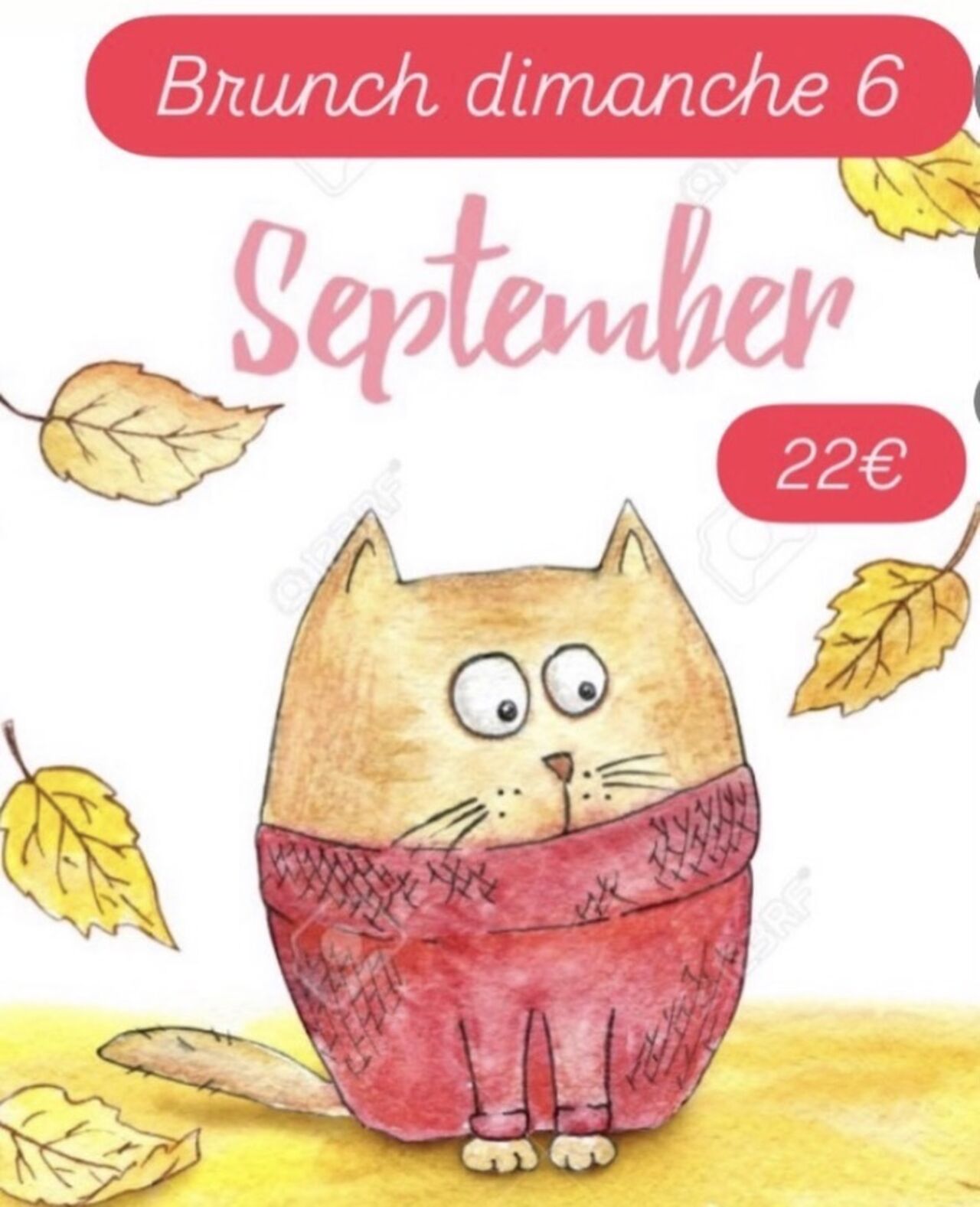 Brunch dimanche 6 septembre
