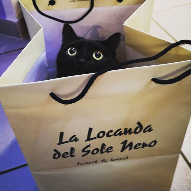 Siamo felici di Ospitarvi