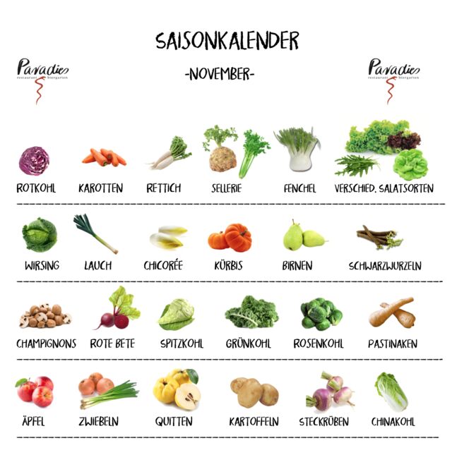 Saisonkalender November 