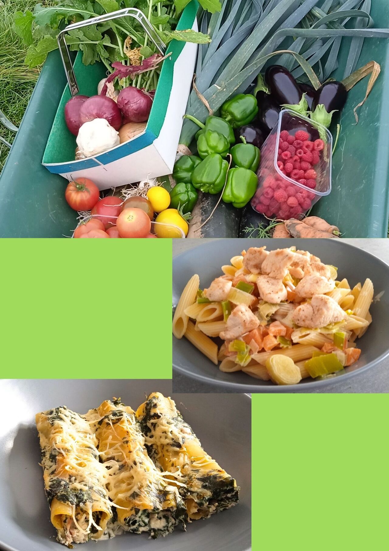 Directement du potager : Penne au poulet, fondue de légumes de saison - Cannellonis blettes, thon, ricotta 