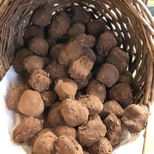 truffes , chocolat noir