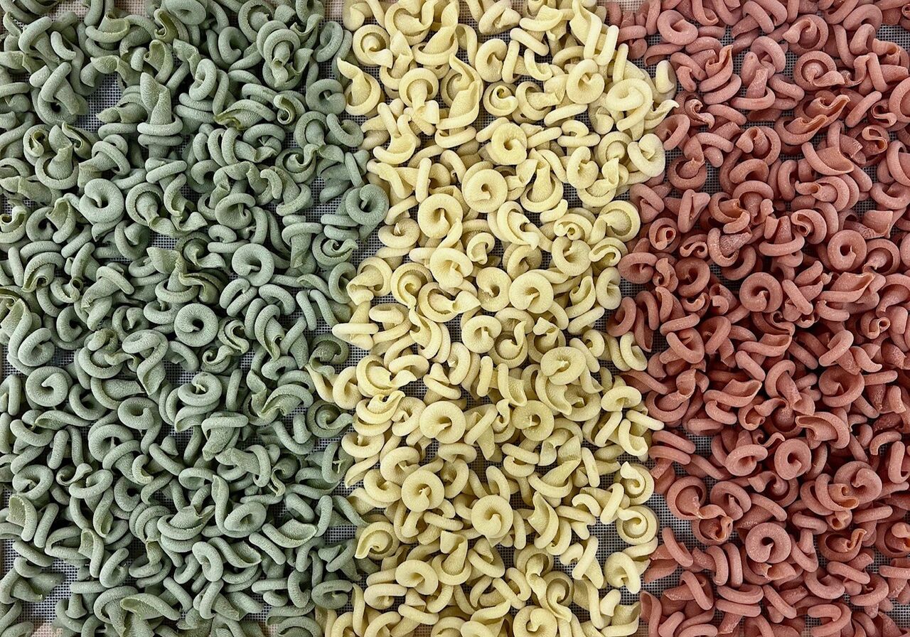 PATE FRAICHE LE HAVRE