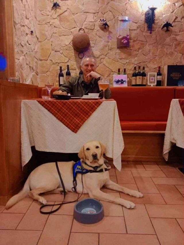 Os Patudos são sempre Benvindos