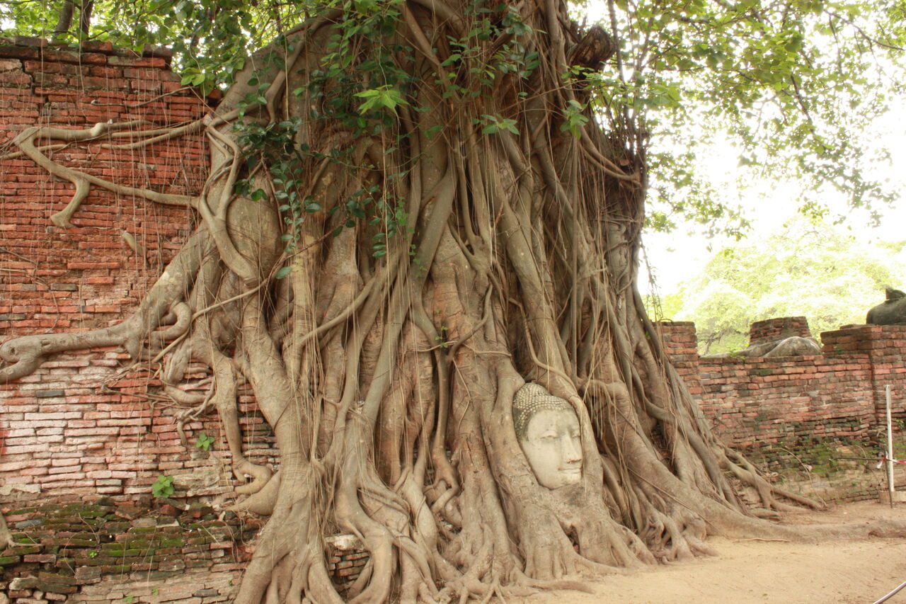 Ayutthaya
Culture asiatique ambiance zen et respect plein de facettes à découvrir en Thaïlande