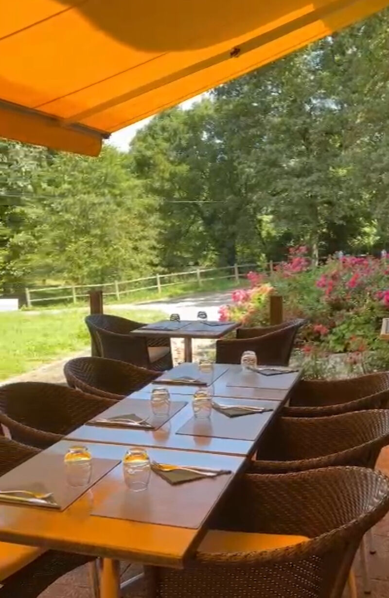 La terrase ombragée