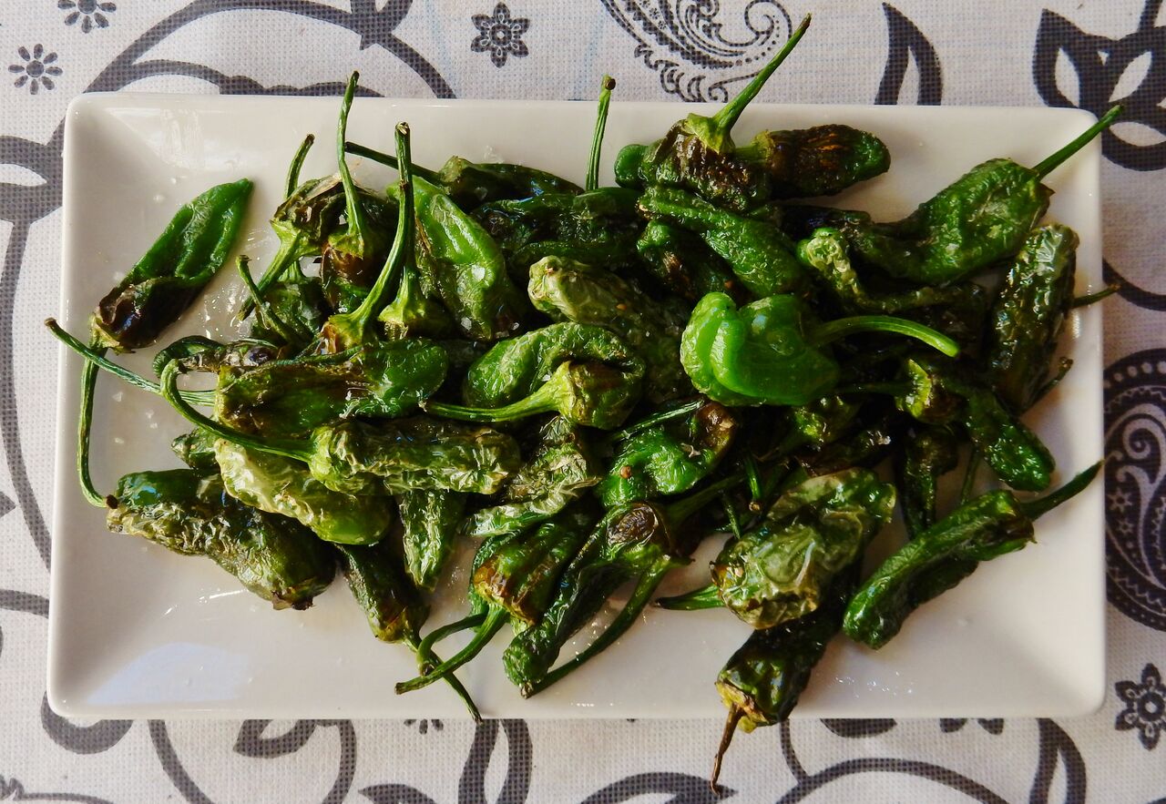 Pimientos padrón
