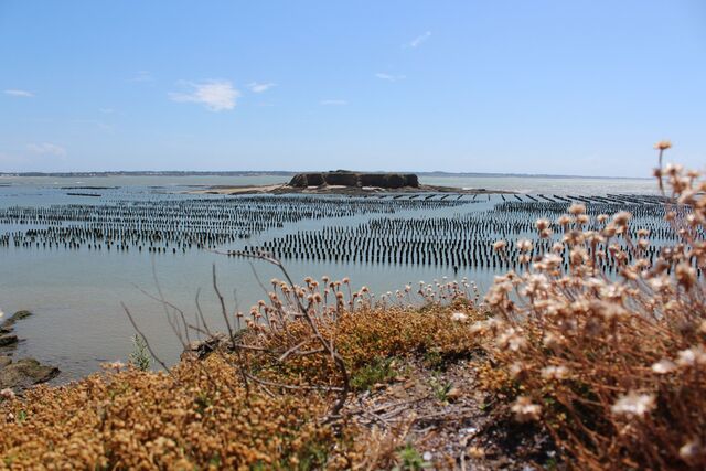La Pointe du Bile pendant la marée.