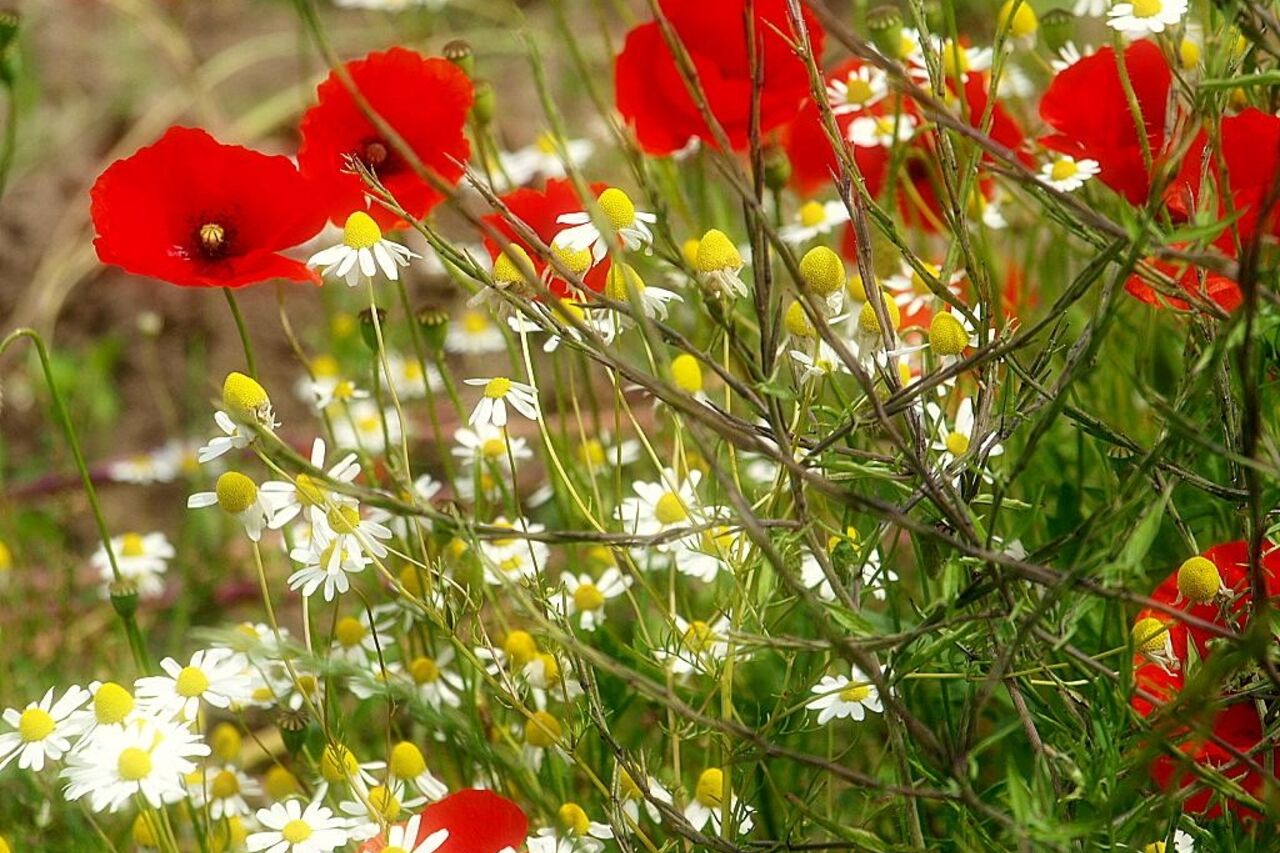 Nouveau menu en place !