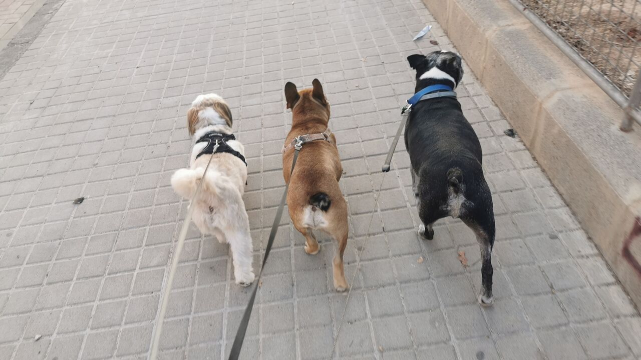 Los mejor portados 🤗😁