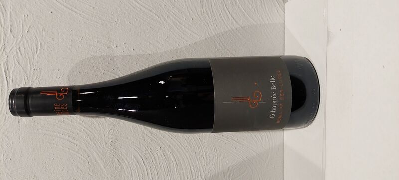 Échappée Belle rouge
Carignan/Grenache en partie en fût de chêne.
Gibier,plat en sauce,fromage.
11,90€
