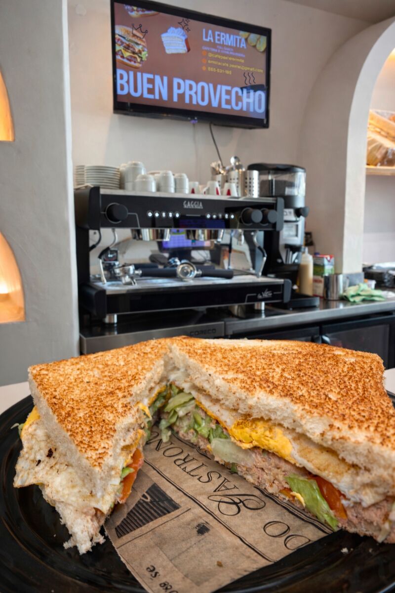 SANDWICH VEGETAL