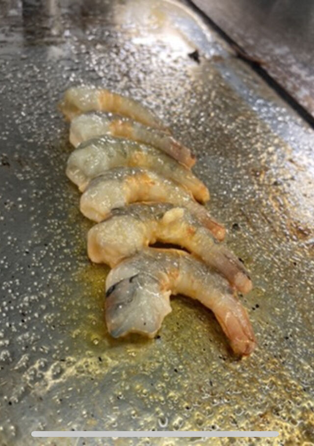 snakage des gambas black tiger