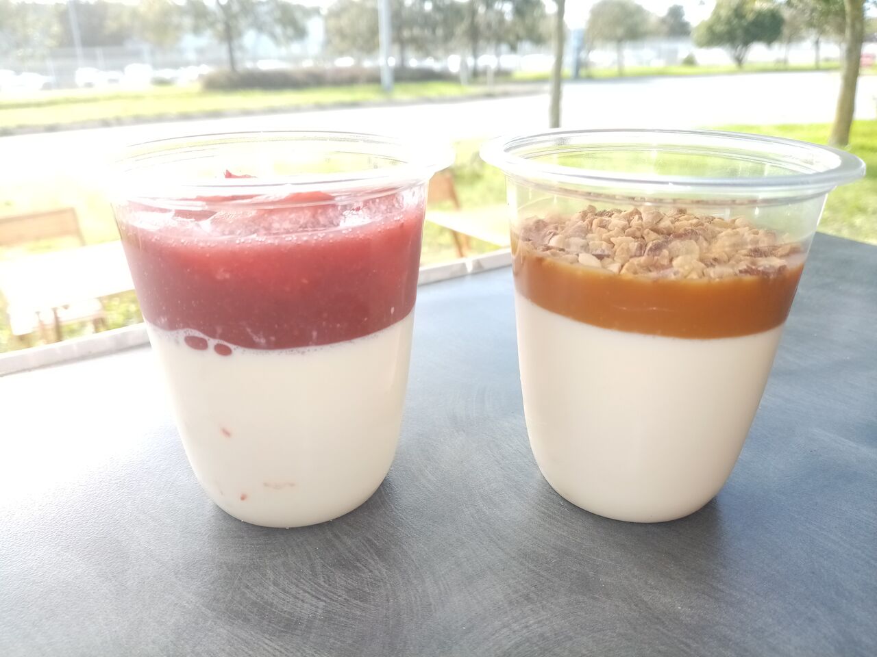  Panna cotta