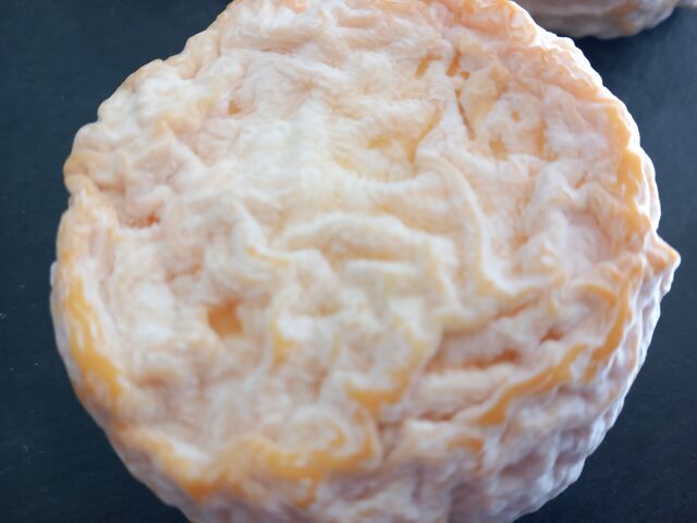 PATE MOLLE A CROUTE LAVEE