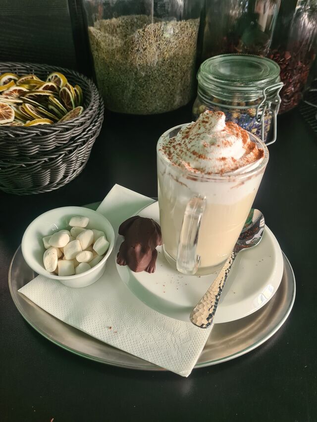 Heiße Schoki mit Marschmallows und Harry-Potter-Kröte