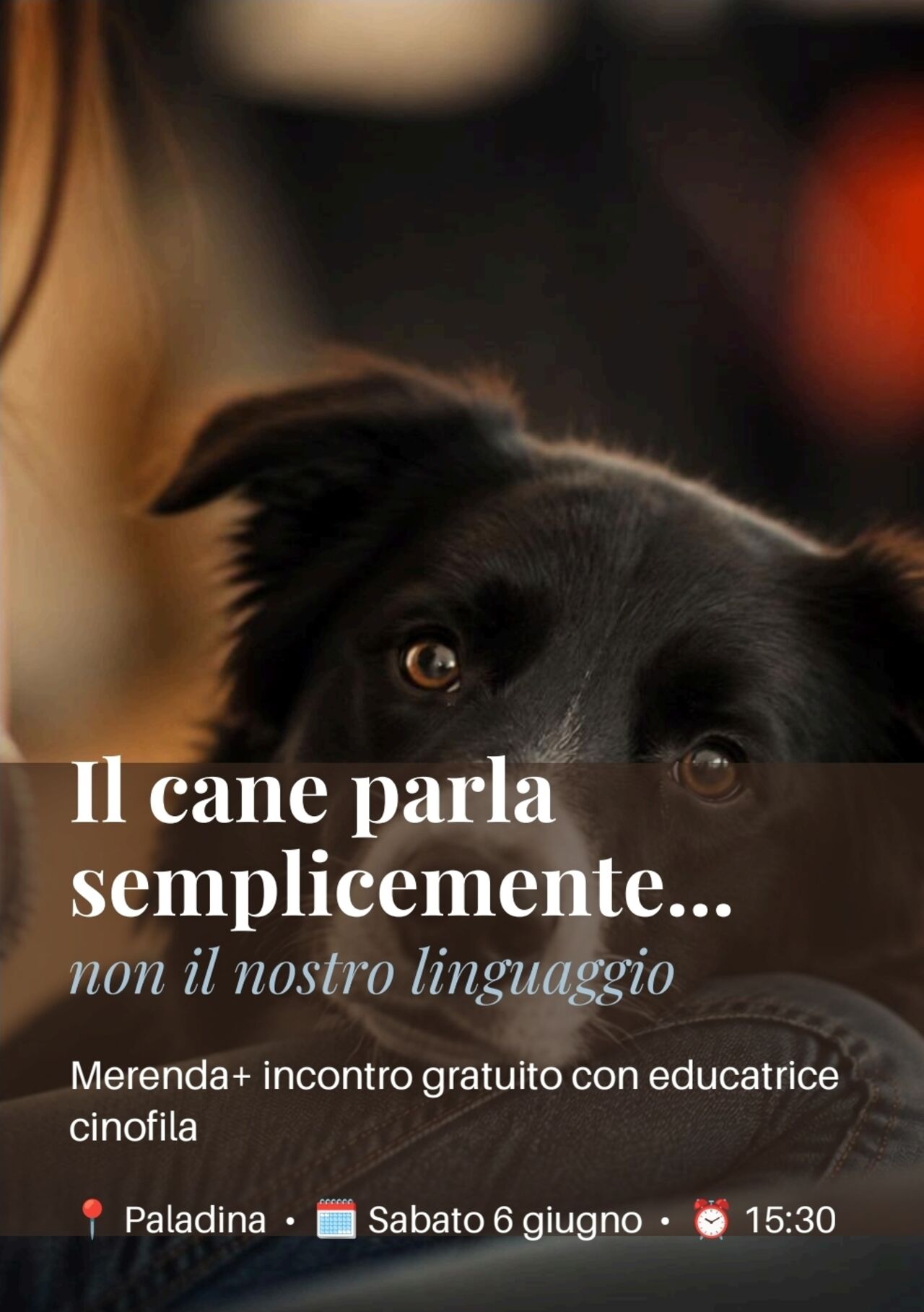 MERENDA CON L'EDUCATRICE CINOFILA