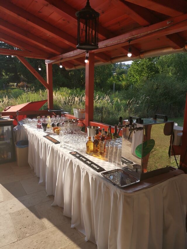 Party-t adtunk Tapolcán I.
