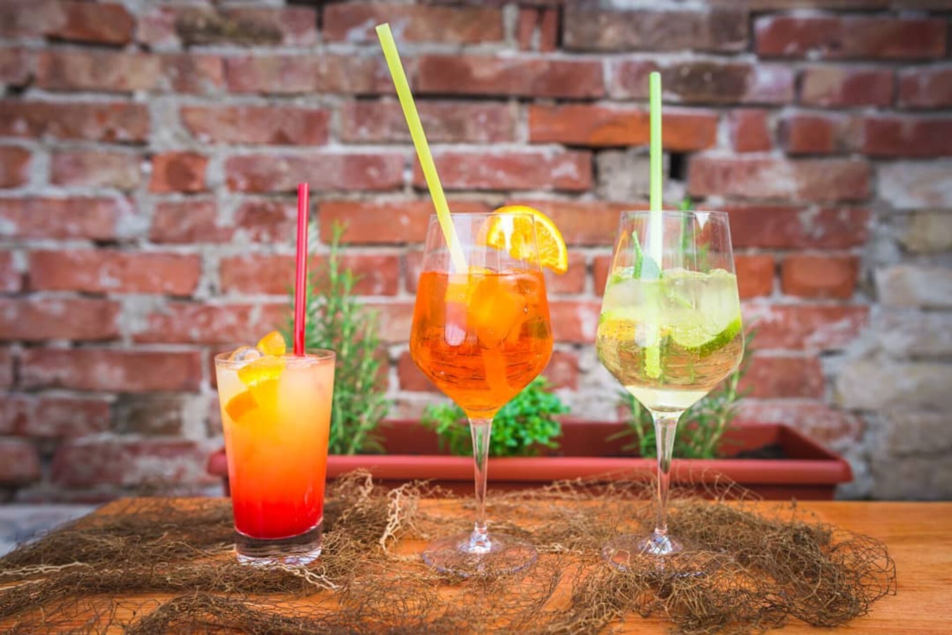 Zasjaj uz naše koktele