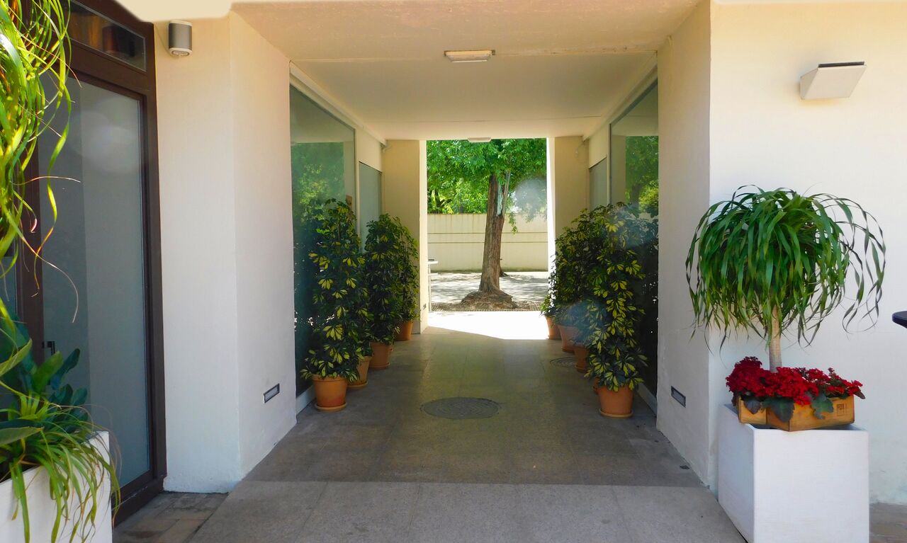 Entrada Alma Mater Terraza