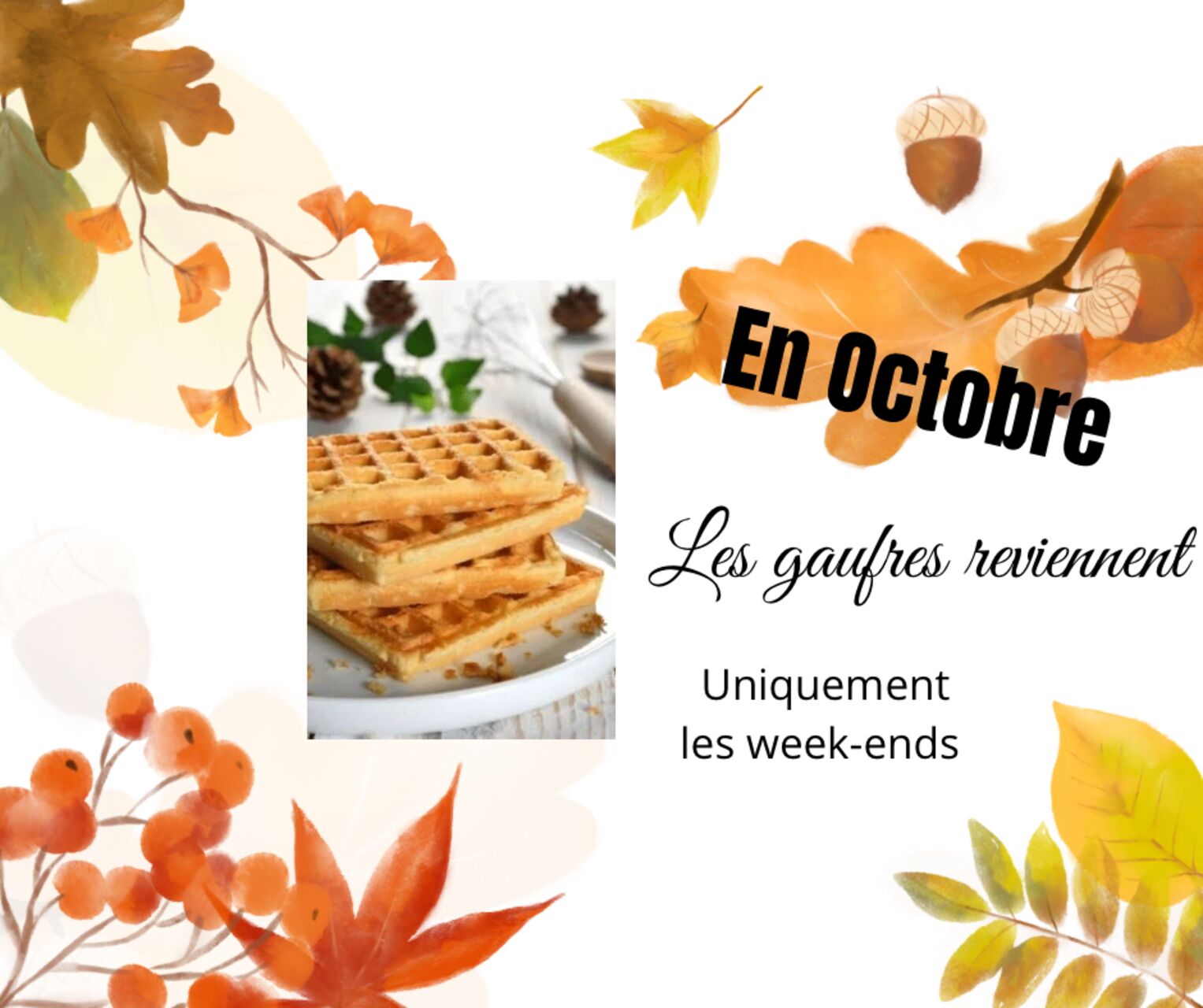 Vacances Toussaint - Retour des gaufres