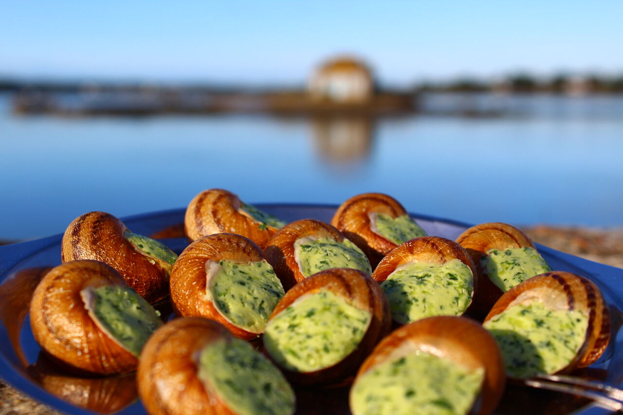 Assiette d'Escargots en coquille au beurre persillé