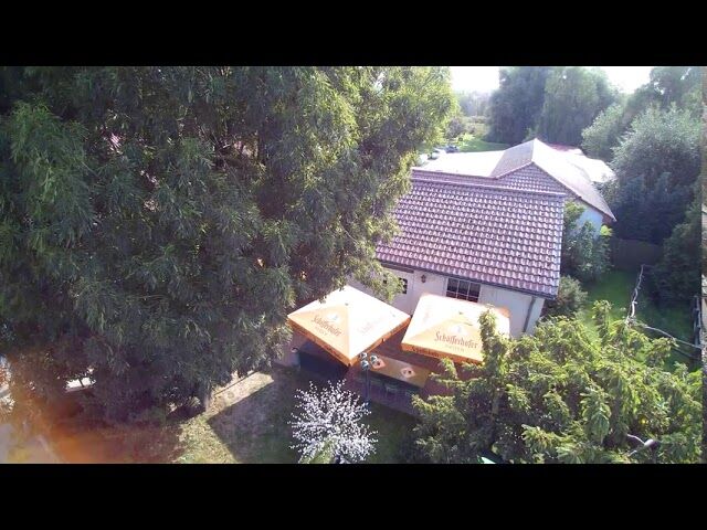 Der Rasselbock von oben