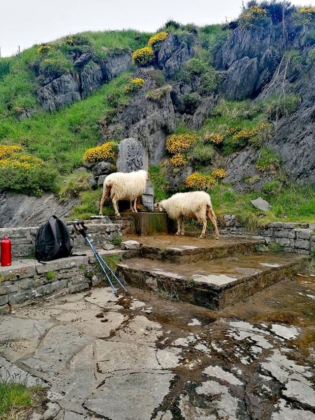 Fontaine dahusquy
Réputée diurétique 