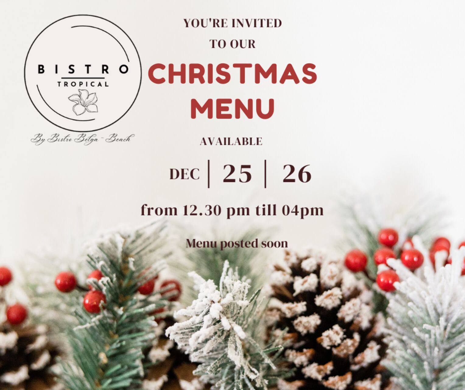 CHRISTMAS AND BOXIING DAY LUNCH