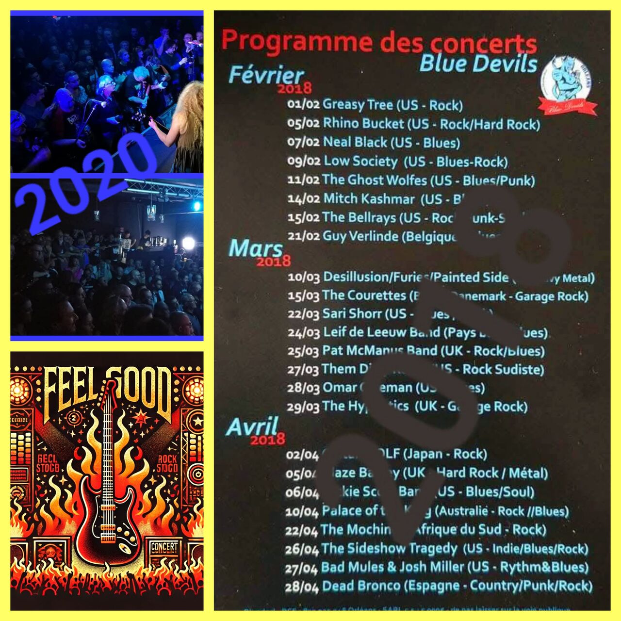 🎉 Une Énorme Nouvelle : L'Ouverture Imminente de la Salle de Concert BLUE DEVILS ! 🎶