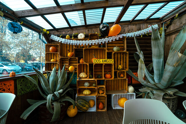 Nasza jesienna ścianka, wpadaj na zdjęcia :)